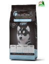 Ibercan Puppy Ibérico 15 Kg - vista principal