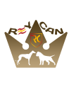 Reycan