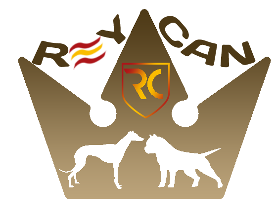 Reycan