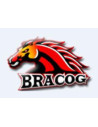 Bracog